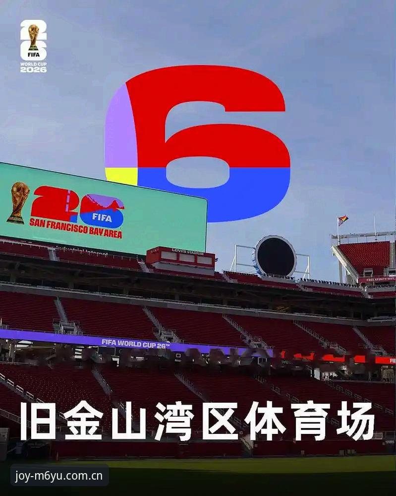 世界杯安保人数骤减背后：数据对比与执行细节详解